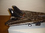 k-F-14 Tomcat (30).JPG

255,42 KB 
640 x 480 
18.03.2009
